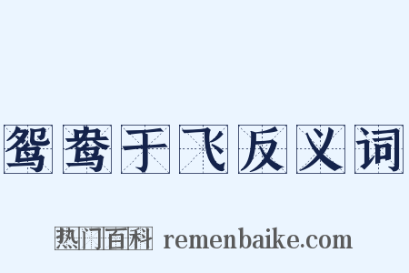 鸳鸯于飞反义词是什么意思的图片